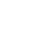 234tiger icon