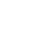 234tiger icon