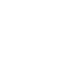 234tiger icon
