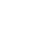 234tiger icon