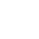 234tiger icon