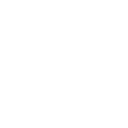 234tiger icon